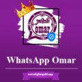 Whatsapp Omer